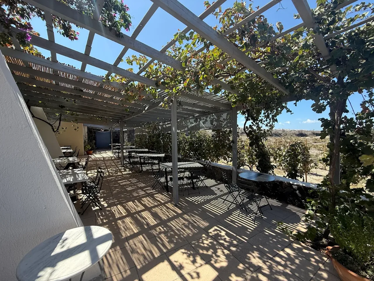 Domaine Sigalas winery and vineyards in Santorini