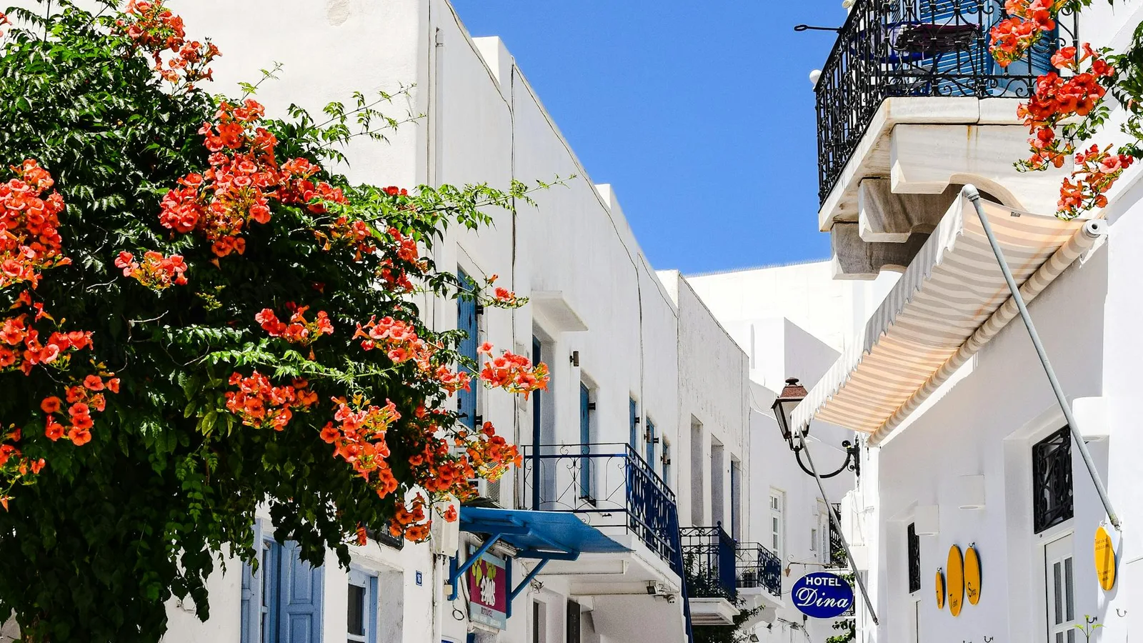 Whitewashed traditional village alley with bougainvillea in Emporio and Megalochori, Santorini inland villages