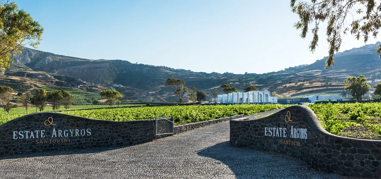 Estate Argyros winery and vineyards in Santorini