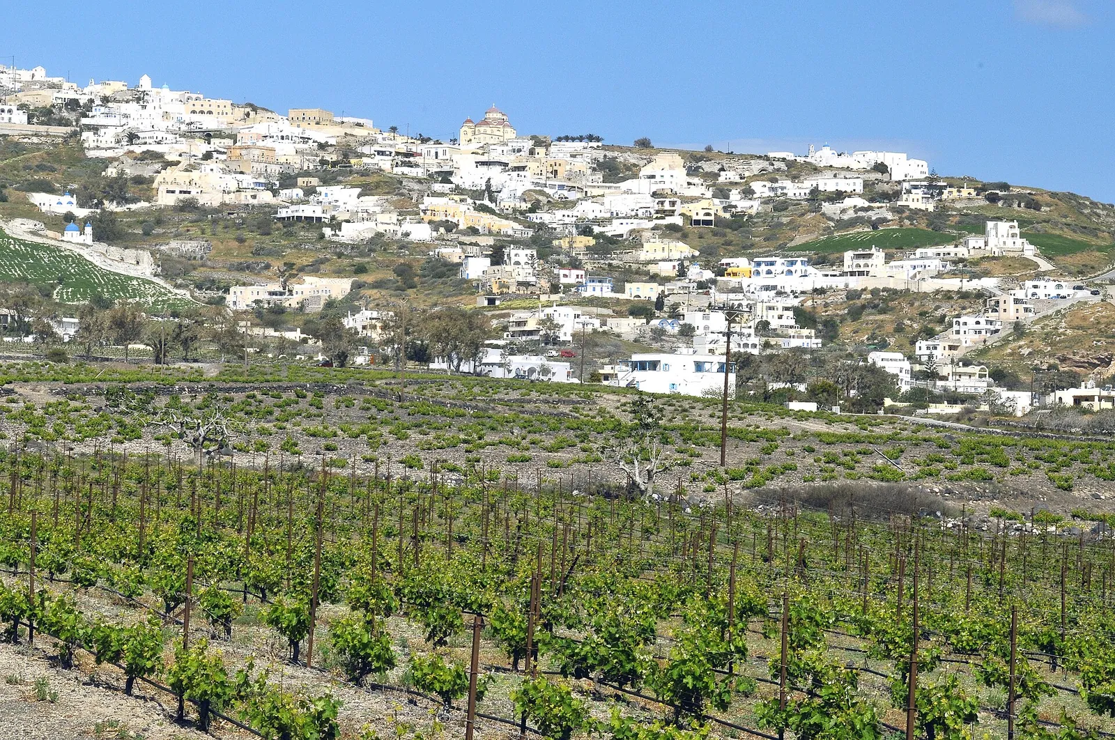 The village of Exo Gonia on the hillside above rows of vines