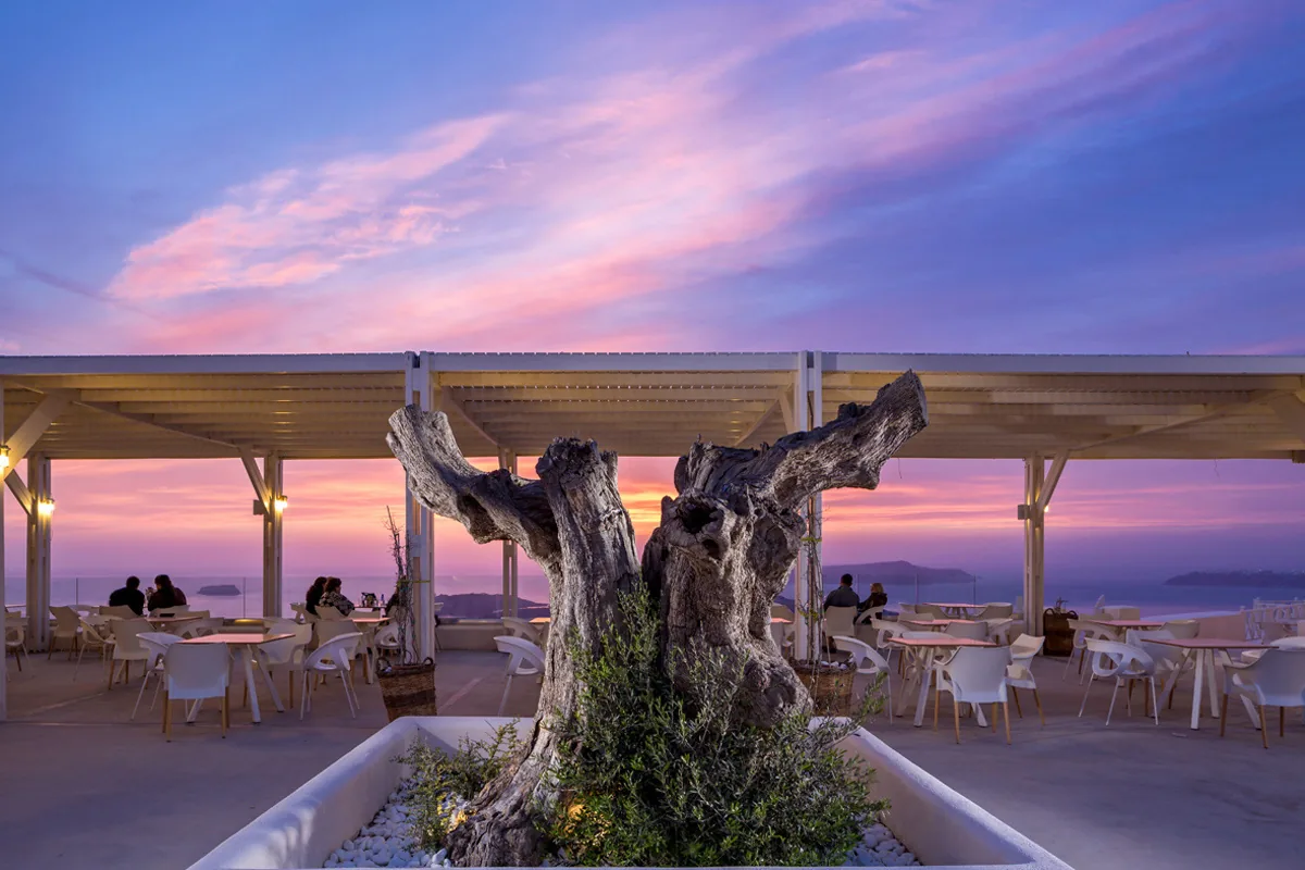 Santo Wines vineyard and caldera-view terrace in Pyrgos, Santorini